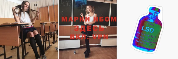 крисы Беломорск