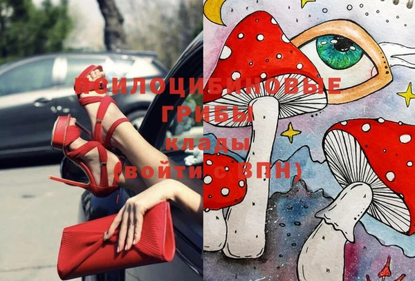 МДМА Богданович