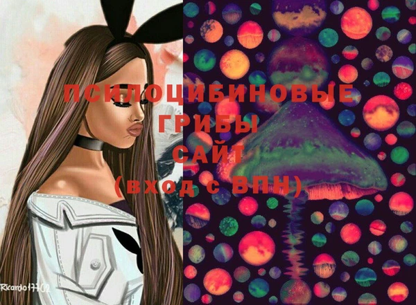 крисы Беломорск